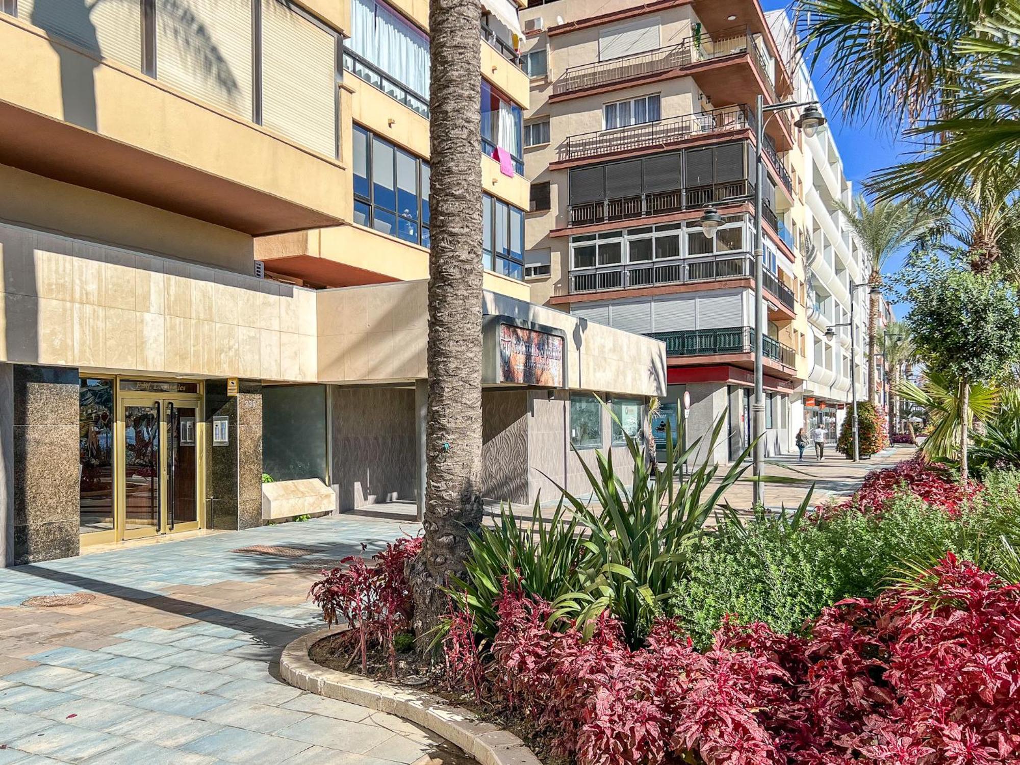 Hanami Avenida De Espana 埃斯特波纳 外观 照片