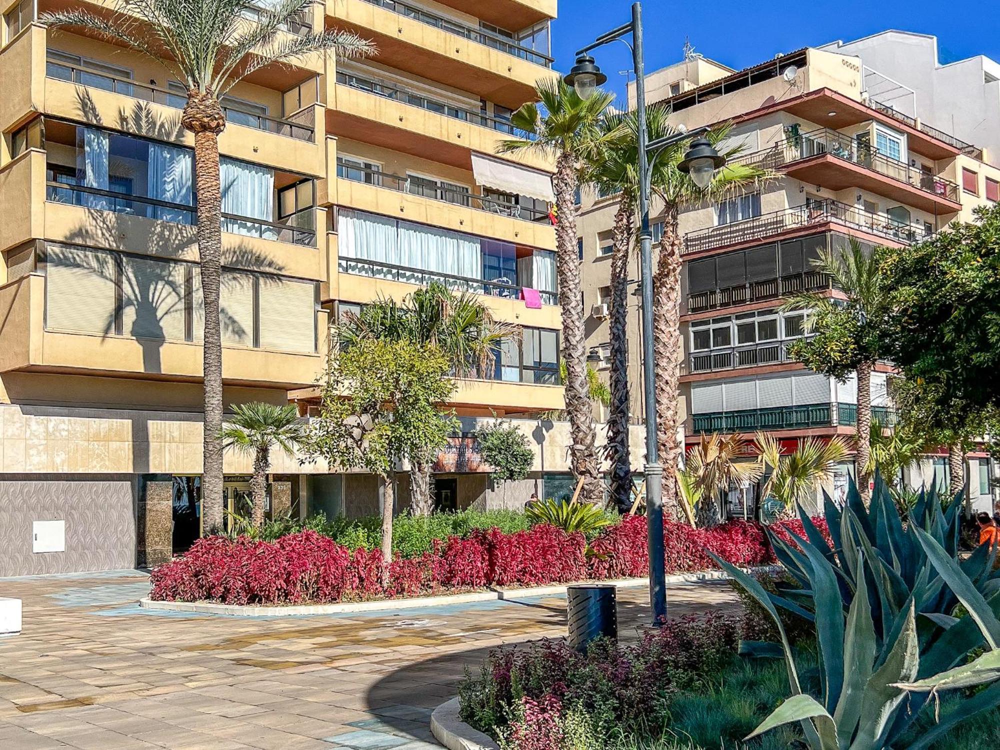 Hanami Avenida De Espana 埃斯特波纳 外观 照片
